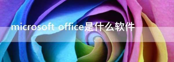 microsoft office是什么软件,office是指什么软件图1