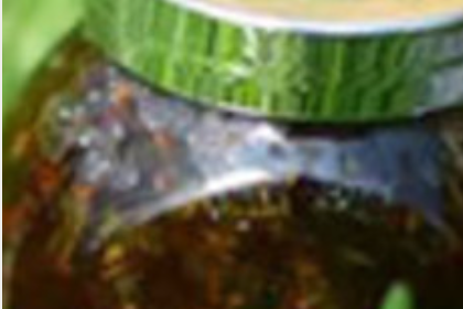 紫苏酱怎么做才能放长期存放,紫苏酱的做法与配料图9