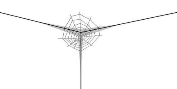如何防止蜘蛛网再生,原神清理蜘蛛网图1