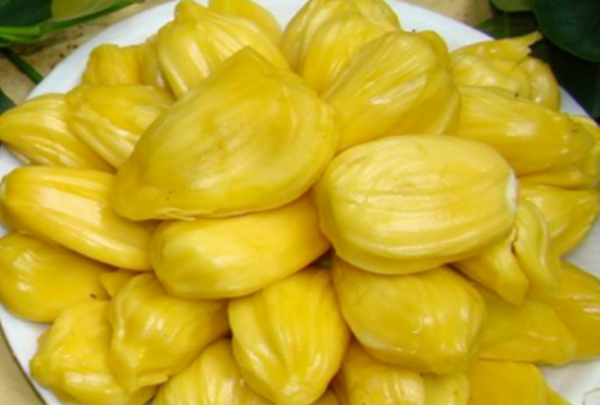 八成熟的菠萝蜜能吃,菠萝蜜切开后的果肉颜色不是金黄色能吃图1