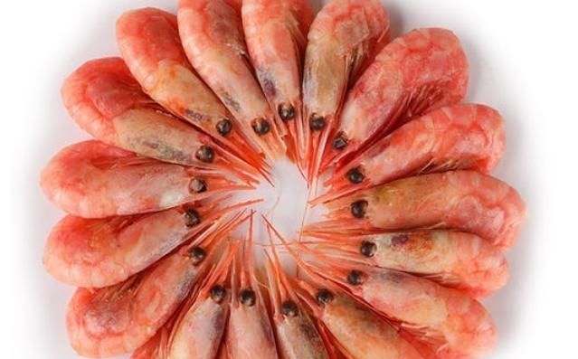 北极虾的营养价值 北极虾有什么营养价值,北极虾是什么虾图3