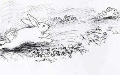 逃家小孩是一本什么样的书,逃家小兔是什么书籍类别