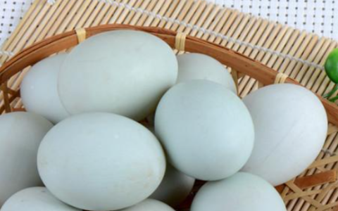 熟鸭蛋怎么保存,煮熟的鸭蛋保存方法 如何保存煮熟的鸭蛋