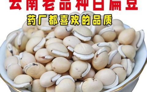 白扁豆的营养价值 白扁豆的营养价值有哪些,白扁豆的功效与作用