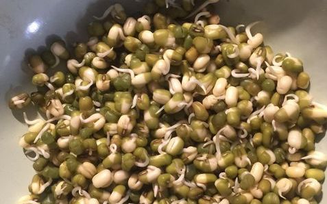 家庭绿豆芽怎么发 发绿豆芽的方法,家庭发绿豆芽的简单方法